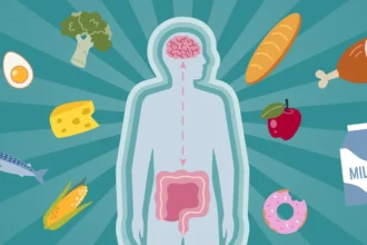 Beginner’s Guide to Balancing the Gut-Brain Axis for Mood and Digestion