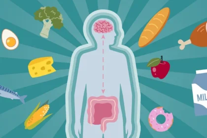 Beginner’s Guide to Balancing the Gut-Brain Axis for Mood and Digestion