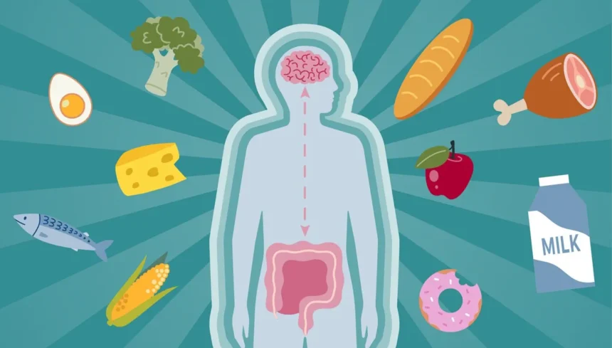 Beginner’s Guide to Balancing the Gut-Brain Axis for Mood and Digestion